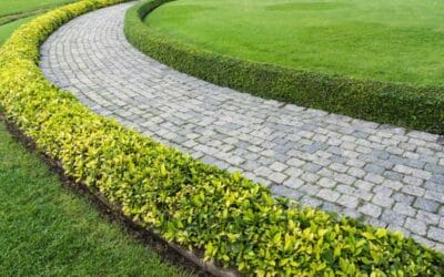 Progettazione Realizzazione Giardini Passoscuro