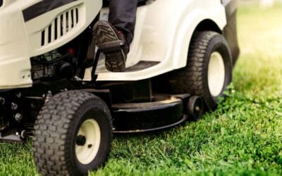Progettazione Realizzazione Giardini Frascati
