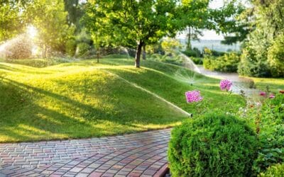 Manutenzione Giardini Condominiali Roma