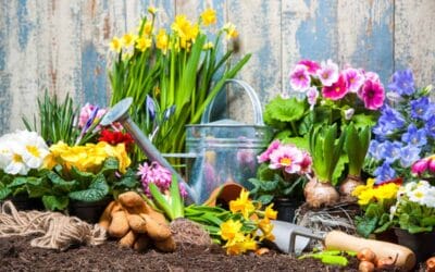 Progettazione Giardini Roma
