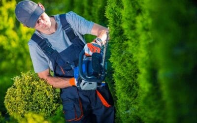 Progettazione Realizzazione Giardini Quadraro