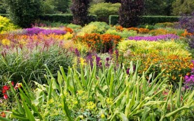 Progettazione Realizzazione Giardini Castel Di Guido