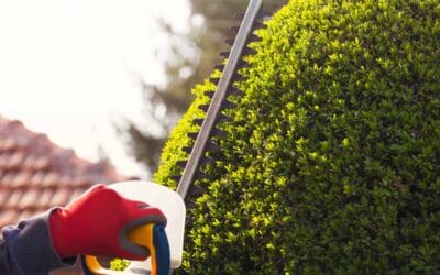 Progettazione Realizzazione Giardini Madonnetta